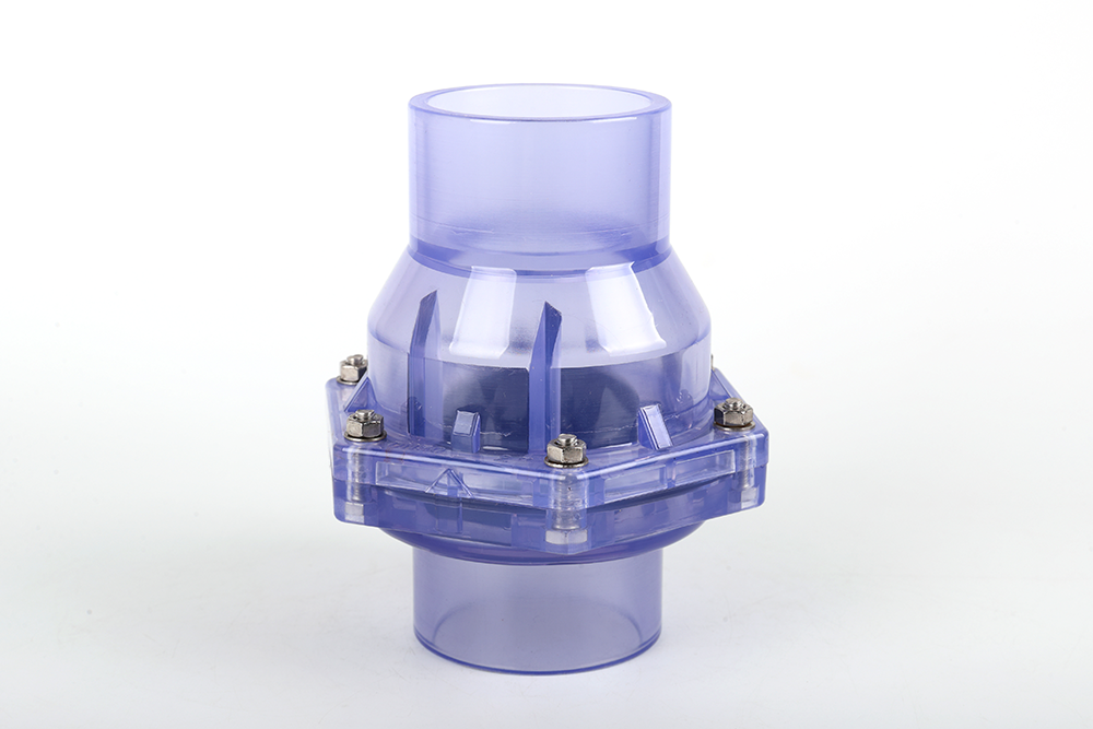 太康透明翻板式止回阀